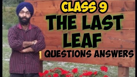 Class 9, an English Lesson, The Last Leaf, Questions Answers, PSEB