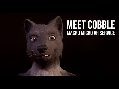 Macro Micro VR Service - Meet Cobble