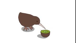 Kiwi eats a kiwi (Animation test)