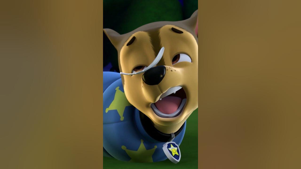 Marshall beats Chase to the Tower...for once! #PAWPatrol #Shorts