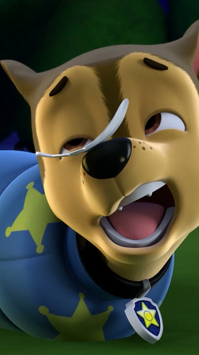 Marshall beats Chase to the Tower...for once! #PAWPatrol #Shorts