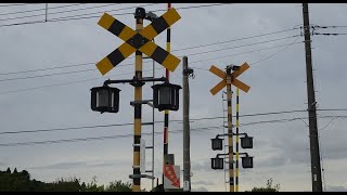 JR東金線　初期型全方位警報灯の踏切 (Railroad crossing in Japan)