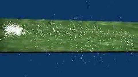 Blender Bullet Physics Test 2