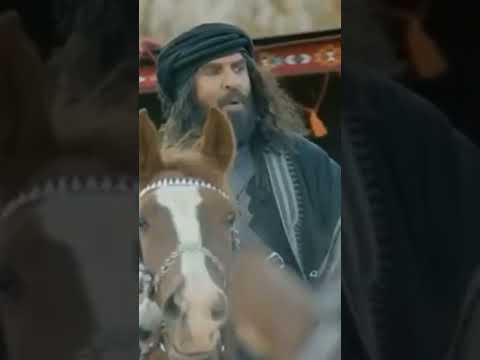 صقار فولو اكسبلور