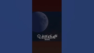 هدوء و سكينة #قرآن#القرآن_الكريم #قران_كريم #راحة_نفسية #رمضان #فضل #سورة #فلسطين #song #love #لايك