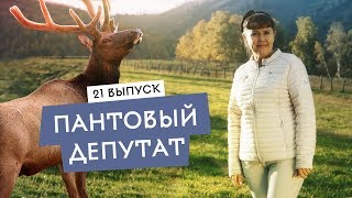 Народная медицина или надувательство? Горный Алтай: мараловая лихорадка.