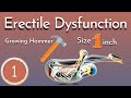 Yoga for Erectile Dysfunction Part 1 | How to Improve Men's Health