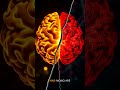 Your Childhood Virus Is Attacking Your Brain