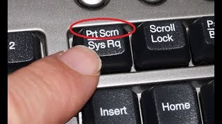 windows 7 screen shot keys