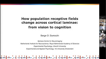 Serge Dumoulin: How PRF properties change across cortical laminae: from vision to cognition.