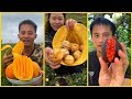 Vườn trái cây rau củ quả ở Trung Quốc (P15) - Ăn tại vườn cực đã  🍉🍈🍇Fruit farms in China