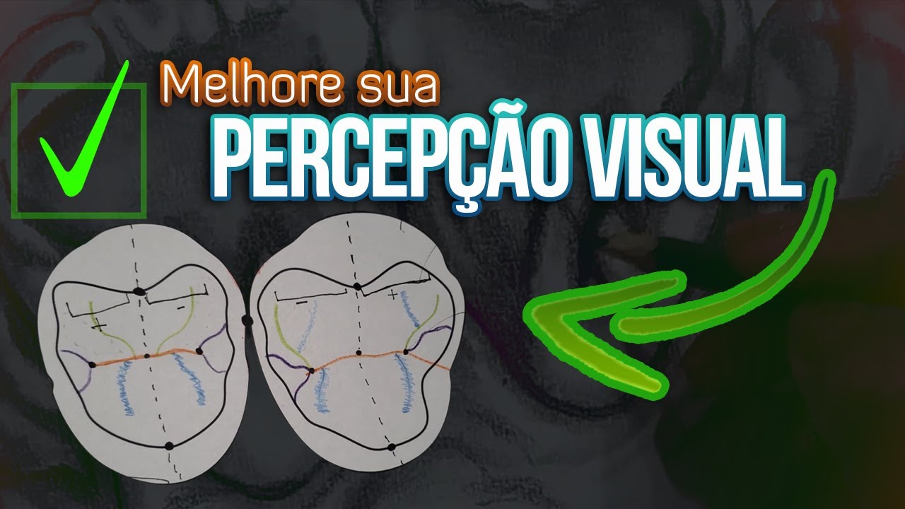 MELHORE SUA PERCEPÇÃO ANATÔMICA: Técnica de memorização visual para melhorar sua escultura #1
