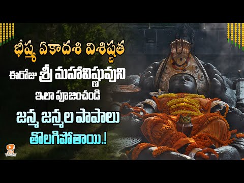 భీష్మ ఏకాదశి | జయ ఏకాదశి 2023 | bheeshma ekadasi 2023 | jaya ekadashi | Paa Devotional
