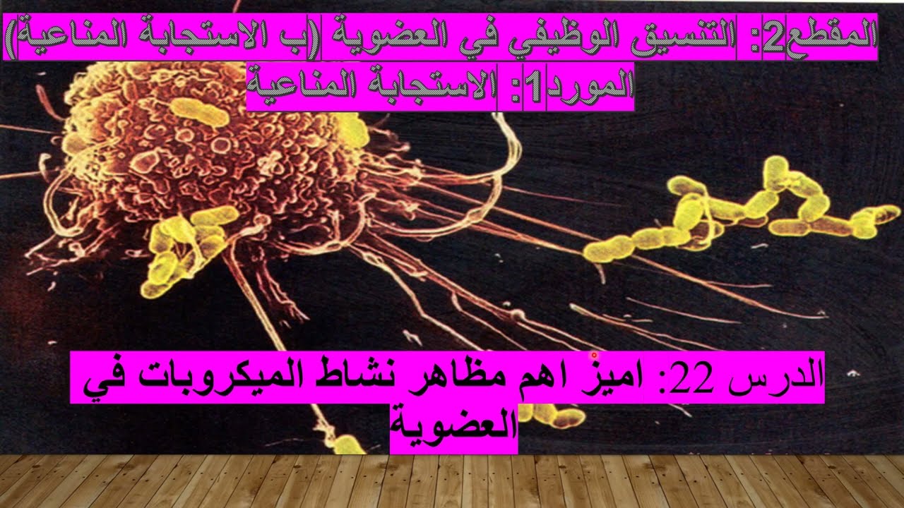 الدرس 22: اميز اهم مظاهر نشاط الميكروبات في العضوية المستوى 4 متوسط علوم طبيعية