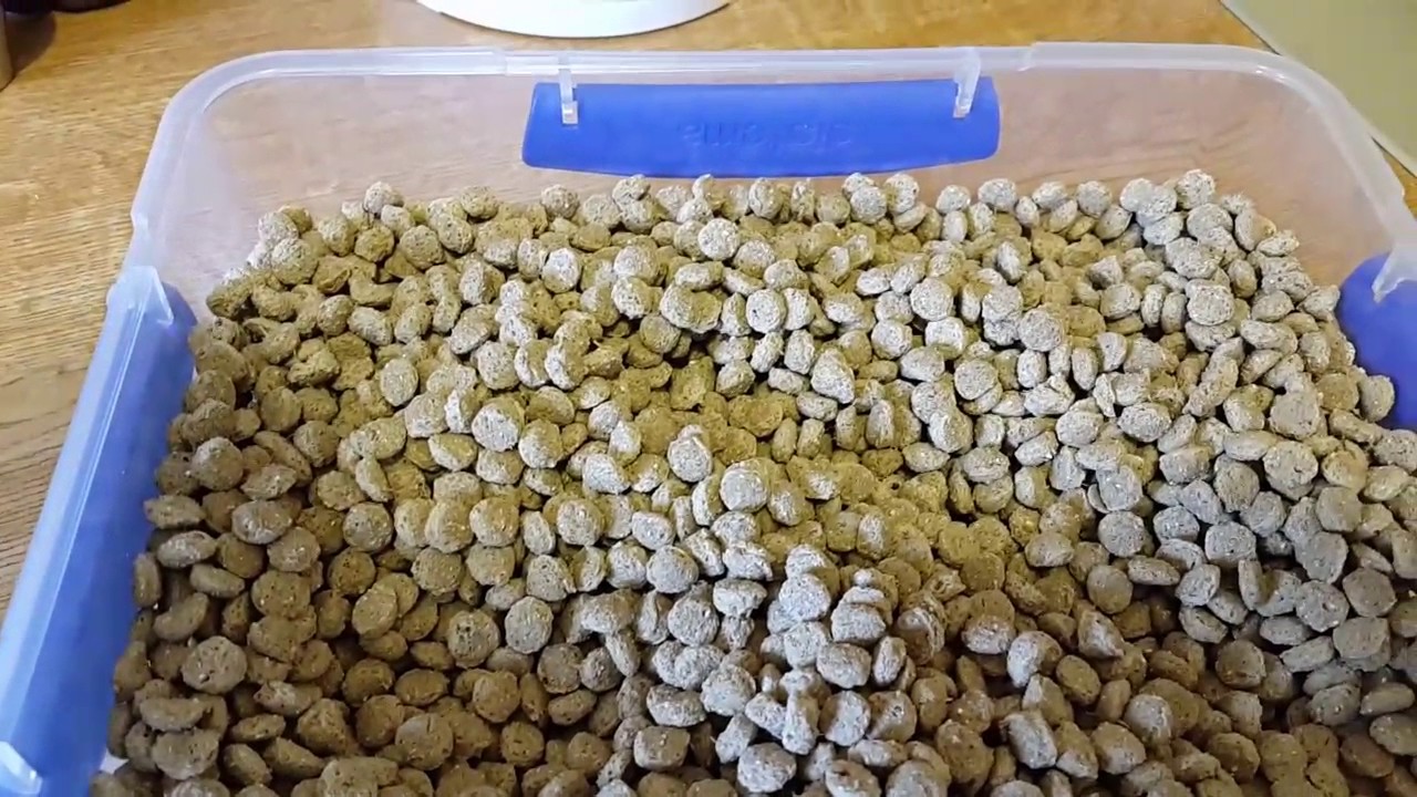 Hamster Food Review - Mr Johnsons Advance Nuggets