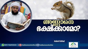 അണ്ണാനെ ഭക്ഷിക്കാമോ? | Latest  Speech | Aslami Usthad | Hubburasool Online