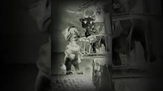 Peru Let It Go Reverse