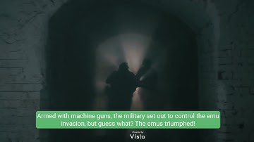 Did You Know? Fascinating History Facts!