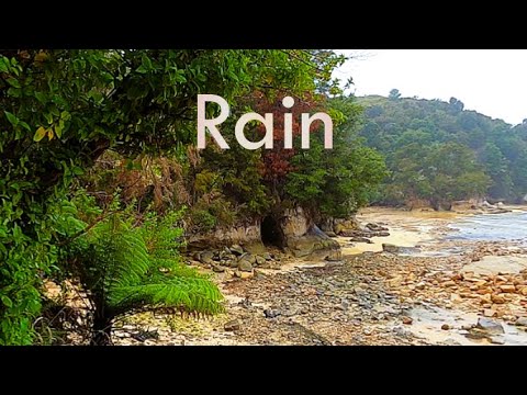 Hiking in the rain, Able Tasman National Park, Marahau to Tinline Bay ...