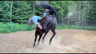 I Got Bucked Off a Horse! Vlog #357