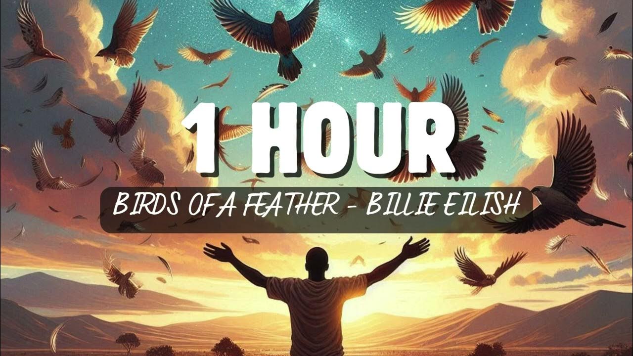 1 Hour Birds Of A Feather