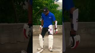 most beautiful  video of cricket lover