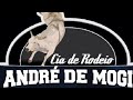 Alguns Touros Da Cia André De Mogi