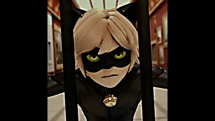 miraculous cat noir edit || #keşfet #miraculous #mlb #catnoir #fyp #fypシ #shorts #karakedi