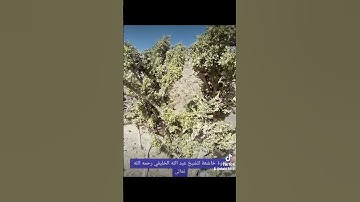 ٦ نوفمبر ٢٠٢٢تلاوة خاشعة فضيلة الشيخ عبدالله الخليفي رحمه الله تعالى