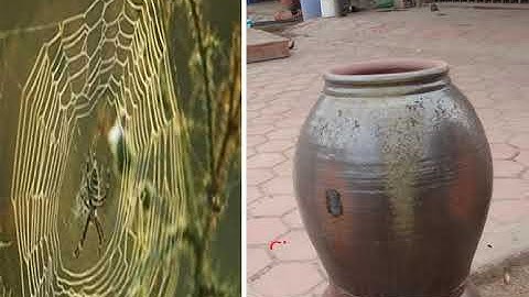 KHỐI 3 TIẾNG VIỆT   Cái câu tuan 22