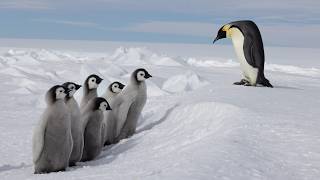 Anderson Rocio x Mother Magazine - Power In Us (Official Music Video)