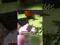 Minecraft Hardcore Survival EP 2  #minecraft #minecraftgameplay  #minecraftbeauty #gaming