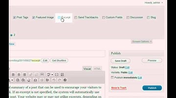 19-Introduction to Post Excerpt