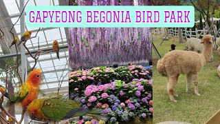 EXPLORING GAPYEONG BEGONIA BIRD PARK GYEONGGI-DO KOREA 가평베고니아새정원 @jllifestyle