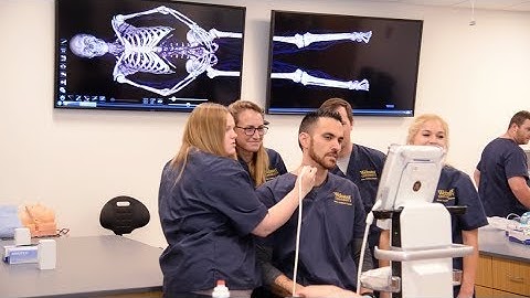 The Sciences at Webster University