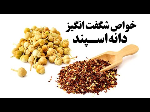 تصویری: آیا اسپند برای شما مفید است؟