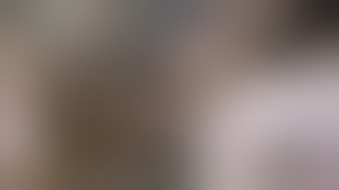 pig dissection part 3