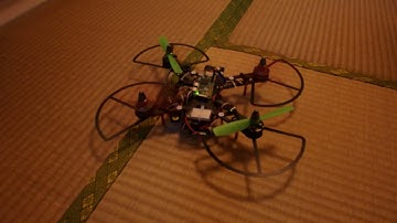Raspberry Pi Zero drone