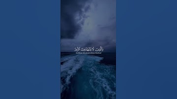 ما تيسر من سورة الفرقان 🩵🌹 #اكسبلور #المصحف #راحة_نفسية #الرحمن