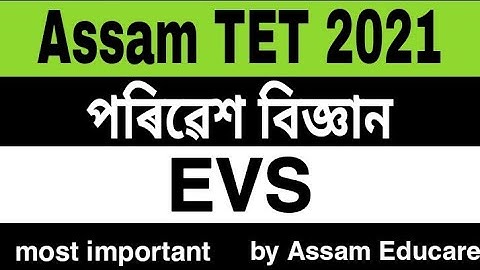 Assam TET 2021. Environment science important question. EVS most important. #assamtet2021 #assamtet