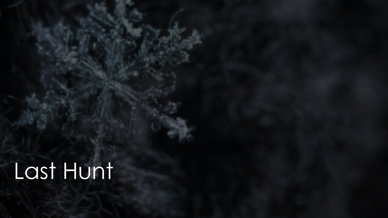 Last Hunt [sfw] [m4a] [vikings] [bittersweet love confession]