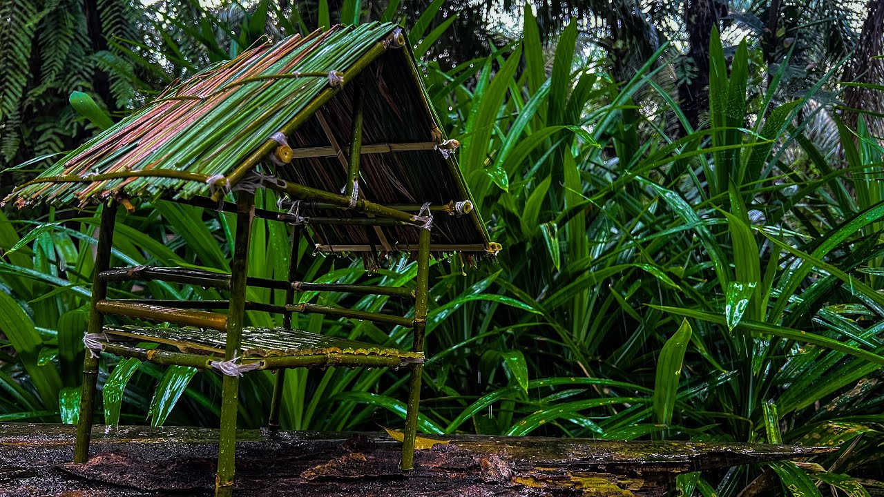 Rain Sound in Forest ⛈️ Rain Therapy with Distant Thunder Sounds for Deep Sleep & Improve Insomnia 