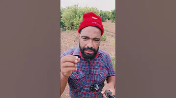 ضسرت عليا ايدي عزالدين الملالي نكت ضحك 