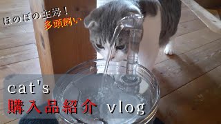 【猫vlog】猫ちゃん達に『自動給水器』を買ったら大好評でした！スコティッシュフォールド