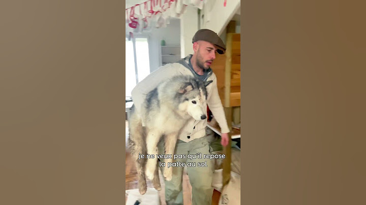 Sora saigne 😰 #husky #educationcanine #huskylife #chien #chiens #chiot #chienmignon #chiots