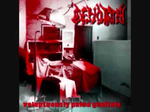 Cenotaph- Revenge