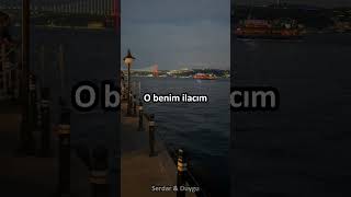 Melis Fis - Gülü Sevdim (lyrics)#edit #shorts