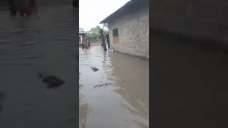 Download Mvua Zanzibar Video MP3 Mvua Zanzibar