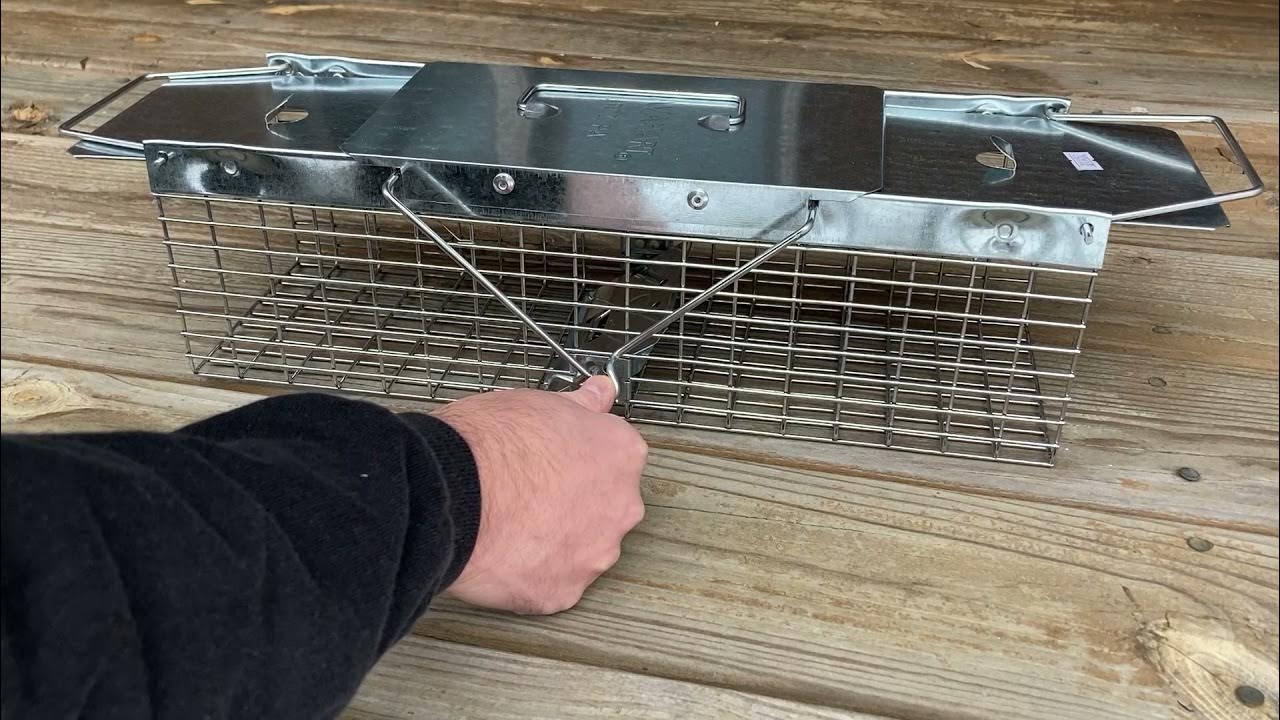 How to Set the Havahart Trap Model 1025 - YouTube