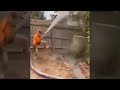 Total idiots at work funny fails  bad day at work 2022